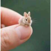 ヒメ日記 2026/04/08 17:25 投稿 マシロ【 超絶エロ大使♡】 ドＭなバニーちゃん小倉店