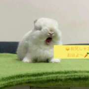 ヒメ日記 2026/04/15 23:58 投稿 マシロ【 超絶エロ大使♡】 ドＭなバニーちゃん小倉店