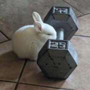 ヒメ日記 2026/04/22 07:15 投稿 マシロ【 超絶エロ大使♡】 ドＭなバニーちゃん小倉店