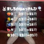 ヒメ日記 2026/06/30 14:42 投稿 マシロ【 超絶エロ大使♡】 ドＭなバニーちゃん小倉店