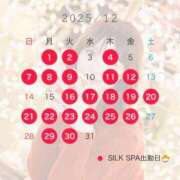 ヒメ日記 2025/11/24 22:39 投稿 みさき SILK SPA福岡店