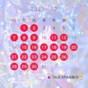 ヒメ日記 2025/12/01 09:59 投稿 みさき SILK SPA福岡店