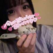 ヒメ日記 2025/04/01 09:29 投稿 つむぎ Candy×Candy （キャンディ×キャンディ）