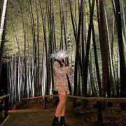 ヒメ日記 2025/04/15 07:12 投稿 ほしの【容姿端麗な天使】 ポニーテール和歌山店