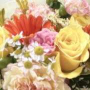 ヒメ日記 2025/12/16 08:12 投稿 ほしの【容姿端麗な天使】 ポニーテール和歌山店