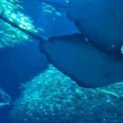 ヒメ日記 2025/06/01 19:30 投稿 マイ◆SP・即可◆ Ageha(アゲハ)