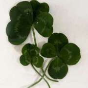 ヒメ日記 2026/04/10 09:20 投稿 マイ◆SP・即可◆ Ageha(アゲハ)