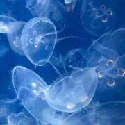 ヒメ日記 2026/04/14 13:50 投稿 マイ◆SP・即可◆ Ageha(アゲハ)