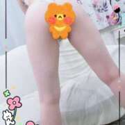 ヒメ日記 2025/03/23 13:42 投稿 はく ホワイトハウス