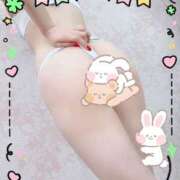 ヒメ日記 2025/03/23 20:09 投稿 はく ホワイトハウス