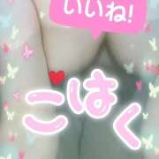 こはく 出勤します。ドキッドキ❤️ 加古川10,000円ポッキー