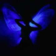 ヒメ日記 2025/05/04 15:20 投稿 せいら 新小岩デリヘル ラブセレクション