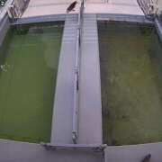 ヒメ日記 2025/06/04 17:48 投稿 あん non-non 神田(ノンノン神田)