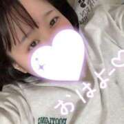 ヒメ日記 2025/04/20 10:04 投稿 そら 谷町人妻熟女奉仕倶楽部