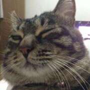 ヒメ日記 2025/04/09 18:02 投稿 くみ 欲求不満な人妻の願望～何度も欲しがる淫乱妻～