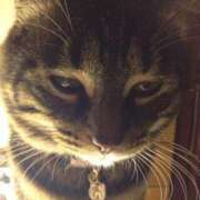 ヒメ日記 2025/10/17 18:04 投稿 くみ 欲求不満な人妻の願望～何度も欲しがる淫乱妻～