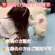 ヒメ日記 2026/01/19 16:16 投稿 うに ラブ・アンド・ラブ