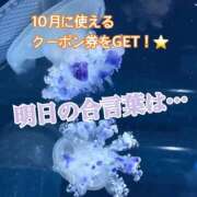 ヒメ日記 2026/08/27 19:19 投稿 うに ラブ・アンド・ラブ