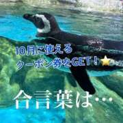 ヒメ日記 2026/08/31 07:46 投稿 うに ラブ・アンド・ラブ