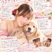 ヒメ日記 2026/09/12 17:46 投稿 ここみ ラブ・アンド・ラブ
