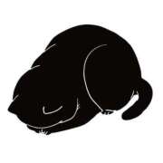 ヒメ日記 2025/11/18 23:56 投稿 杉並 まりえ ラブ・アンド・ラブ