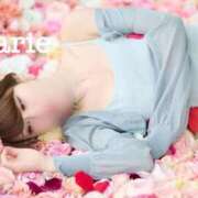 ヒメ日記 2025/12/27 20:30 投稿 杉並 まりえ ラブ・アンド・ラブ