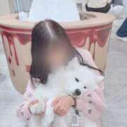 ヒメ日記 2025/04/25 11:20 投稿 みり ラブ・アンド・ラブ