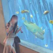 ヒメ日記 2025/08/30 18:19 投稿 みり ラブ・アンド・ラブ