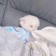 ヒメ日記 2026/01/02 22:36 投稿 みり ラブ・アンド・ラブ