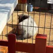 ヒメ日記 2026/02/19 21:06 投稿 みり ラブ・アンド・ラブ