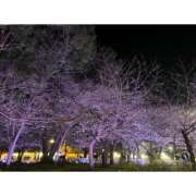 ヒメ日記 2026/03/21 21:01 投稿 くじら ラブ・アンド・ラブ