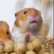 ヒメ日記 2025/08/21 13:38 投稿 めろ ラブ・アンド・ラブ