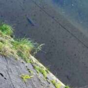 ヒメ日記 2025/09/28 12:46 投稿 めろ ラブ・アンド・ラブ