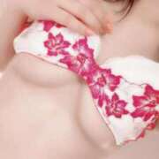 ヒメ日記 2025/12/29 12:07 投稿 ゆあ ラブ・アンド・ラブ