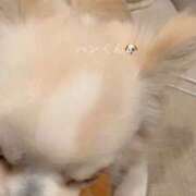 ヒメ日記 2026/06/27 16:16 投稿 つばき ラブ・アンド・ラブ