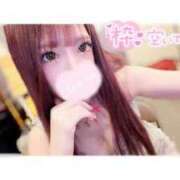 ヒメ日記 2026/06/30 08:46 投稿 つばき ラブ・アンド・ラブ