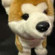 ヒメ日記 2025/06/11 14:40 投稿 さりな ラブ・アンド・ラブ