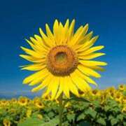 さりな 退勤♡ ラブ・アンド・ラブ