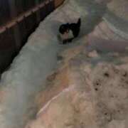 ヒメ日記 2026/01/18 14:06 投稿 ぽぽ ラブ・アンド・ラブ