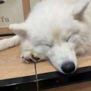 ヒメ日記 2026/02/09 17:26 投稿 ぽぽ ラブ・アンド・ラブ