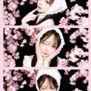 ヒメ日記 2026/04/27 09:07 投稿 ぽぽ ラブ・アンド・ラブ