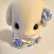 ヒメ日記 2025/10/30 19:26 投稿 みつき ラブ・アンド・ラブ