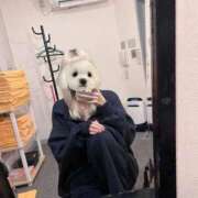 ヒメ日記 2026/02/02 10:21 投稿 みつき ラブ・アンド・ラブ