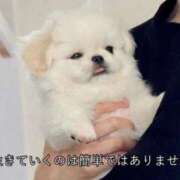 ヒメ日記 2026/02/16 13:06 投稿 みつき ラブ・アンド・ラブ