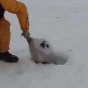 ヒメ日記 2026/02/17 17:45 投稿 みつき ラブ・アンド・ラブ