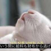 ヒメ日記 2026/02/18 20:36 投稿 みつき ラブ・アンド・ラブ