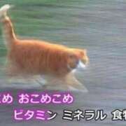 ヒメ日記 2026/09/01 18:41 投稿 みつき ラブ・アンド・ラブ