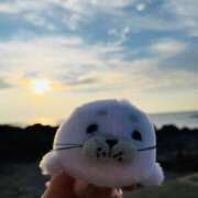 ヒメ日記 2025/05/25 15:40 投稿 るみ ラブ・アンド・ラブ