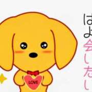 ヒメ日記 2026/05/14 23:06 投稿 るみ ラブ・アンド・ラブ
