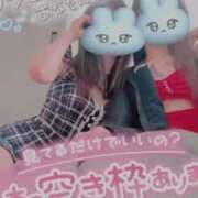 ヒメ日記 2025/04/27 09:55 投稿 そあら ラブ・アンド・ラブ